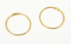 Item thumbnail for item 379eff6d-ca7a-4197-acb1-51b86ec70ec2