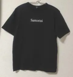 【PLST プラステ】プリントロゴTシャツ Mサイズ /ブラックのサムネイル