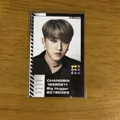 Stray Kids チャンビン ODDINARY封入ID