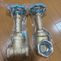 2025年最新】ゲートバルブ 50aの人気アイテム - メルカリ