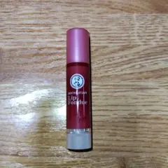 멘소래담 립 퐁듀 플럼 레드