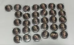 エルヴィン 缶バッジ WIT STUDIO 31点