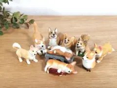 コーギー 大量セット