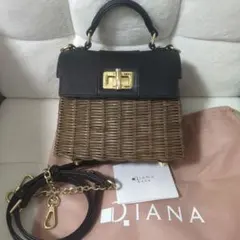 DIANA かごバッグ