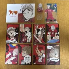 灰羽リエーフ 夜久衛輔　ハイキュー‼︎援‼︎カードセット