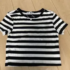 ZARA ストライプ 半袖Tシャツ Mサイズ