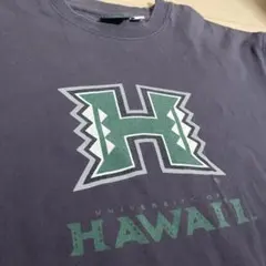 抜染プリント　ハワイ大学カレッジTシャツ ビンテージ　ビッグサイズのサムネイル