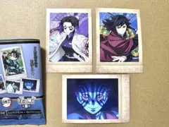 鬼滅の刃　ぱしゃこれ　其ノ捌　胡蝶しのぶ　冨岡義勇　猗窩座　3枚セット