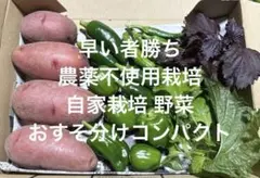 早い者勝ち 農薬不使用栽培 自家栽培 野菜詰め合わせ コンパクト 野菜セットのサムネイル