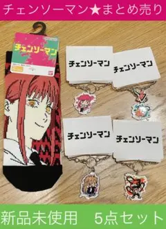 チェンソーマン　チャーム　靴下　セット　キーホルダー　ソックス　マキマ　ポチタ