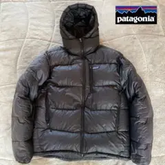 Patagonia フィッツロイ ダウンフーディ 84580 2010年製 M