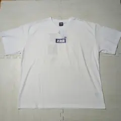 大相撲　Tシャツ 王鵬　4L