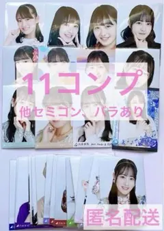 向井葉月 生写真 まとめ売り②