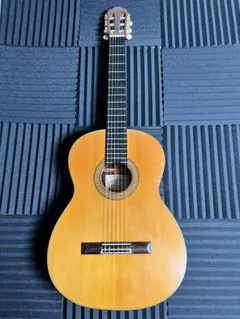 河野　1970 No8 クラシックギター スプルーストップ