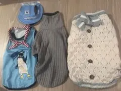 Item thumbnail for item 8b34af45-4443-4d41-abcf-de332c867330