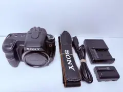 2026年最新】Sony α200 DSLR-A200の人気アイテム - メルカリ