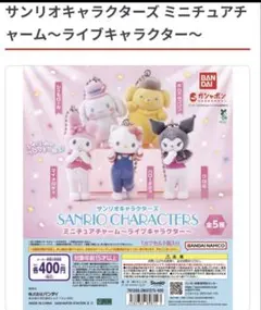 y*n様 サンリオキャラクターズ ミニチュアチャーム 5種セット