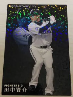 セット売り可 田中賢介 プロ野球チップスカード
