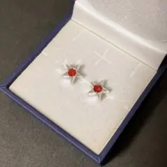 樹脂ピアス　スター　星　1月誕生石　ガーネット風　7月誕生石　ルビー風　シルバー