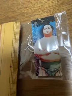 【新品未使用】大相撲ガチャ　スティックキーホルダー大関　琴櫻関