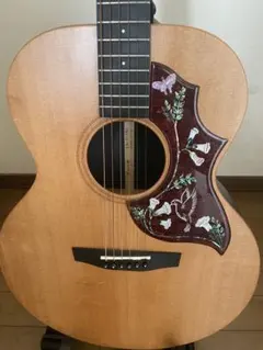 ケ*ジ様 ★タカミネ・ハミングバード！エリート・カスタム HM-25 超ジャキ鳴 ケ*ジ様 ☆タカミネ・ハミングバード！エリート・カスタム HM-25 超