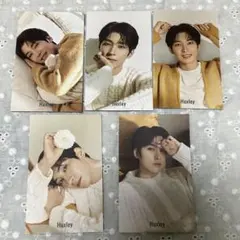 セブチ　ウォヌ　Huxley ハクスリー トレカ SEVENTEEN セブチ