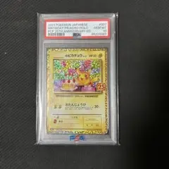 2025年最新】お誕生日ピカチュウ psa10の人気アイテム - メルカリ