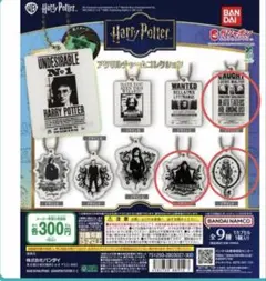 ハリー・ポッター アクリルチャームコレクション　3種セット
