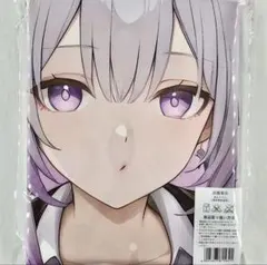 プロクーン様専用 アニメキャラ 萌タオル バスタオル タペストリー