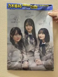 新品・ばら売りOK】乃木坂46 A3クリアファイル 12枚セット 乃木坂46