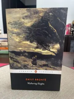 Wuthering Heights Emily Brontë