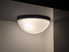 2026年最新】limburgの人気アイテム - メルカリ