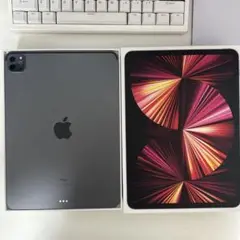 美品　iPad Pro 11インチ　第3世代　256GB Wi-Fiモデル