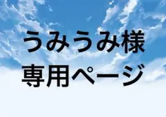 うみうみ様 専用ページ
