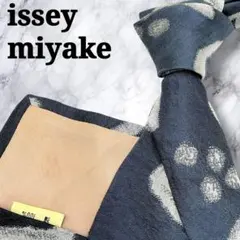 美品　希少　イッセイミヤケ　クレイジーパターン　幾何学　モード　ジャガード　紺銀