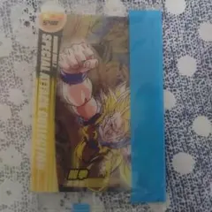 ランチ様 リクエスト 5点 まとめ商品