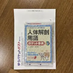 人体解剖用語ポケット事典