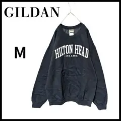 GILDAN ギルダン HILTON HEAD スウェット Mグレー