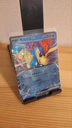 ポケモンカードゲーム 韓国語版 2個セット HaSh company - 韓国版ポケモンカード｜Yahoo!ショッピング