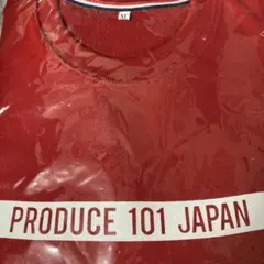 日プ トレーナー オレンジ XLサイズ Why?組 着用