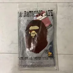 A BATHING APE Champion Tシャツのサムネイル