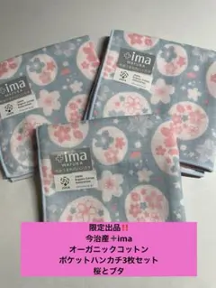 Item thumbnail for item 935c377e-667e-40f0-80cb-95625bd26f04