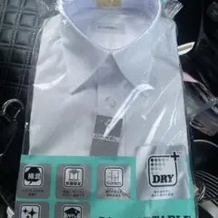 Item thumbnail for item cba2bbc5-343e-4482-b77f-9f7bfb5b388e