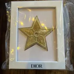【新品・非売品】DIOR ディオール スターピンバッジ ラッキースター ゴールド