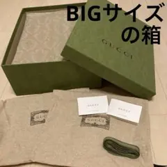 GUCCI ギフトボックス/包装紙/リボン/説明書2冊/保存袋2枚　5点セット