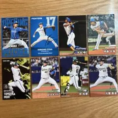 2025年プロ野球カードセット カルビー