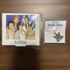 【BeautifulWorld】嵐グッズ チャリティチャーム