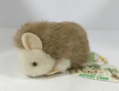 2026年最新】nature land ぬいぐるみの人気アイテム - メルカリ