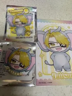 カラフルピーチ　たっつん　東武動物公園コラボ　缶バッジ　クリアカード