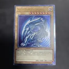 青眼の白龍 レリーフ 遊戯王OCG デュエルモンスターズ(外国語版)